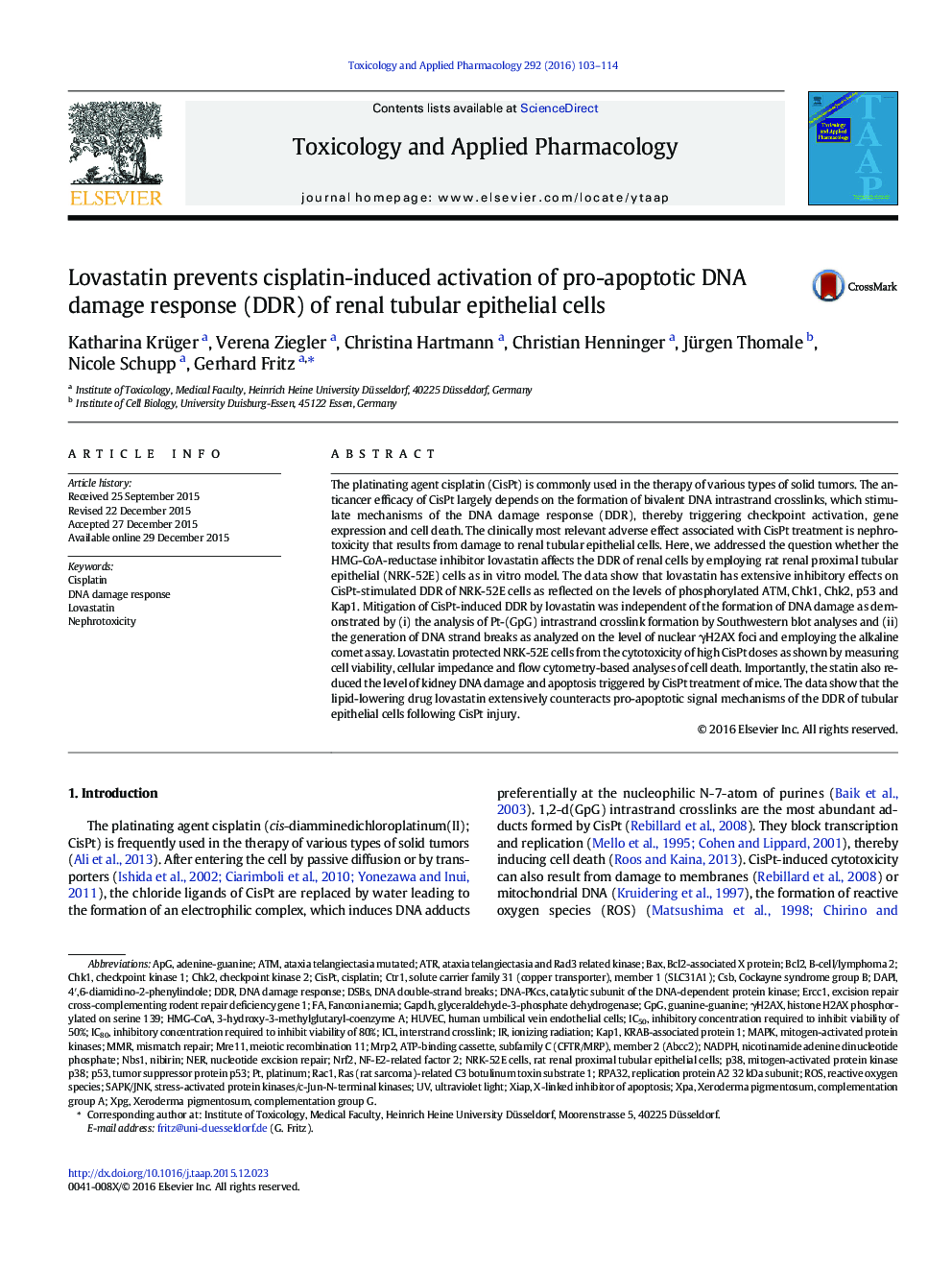 Lovastatin prevents cisplatin-induced activation of pro-apoptotic DNA damage response (DDR) of renal tubular epithelial cells