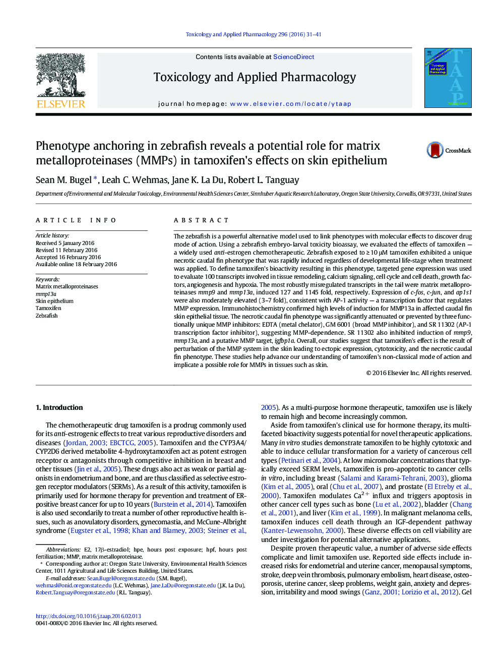 Phenotype anchoring in zebrafish reveals a potential role for matrix metalloproteinases (MMPs) in tamoxifen's effects on skin epithelium