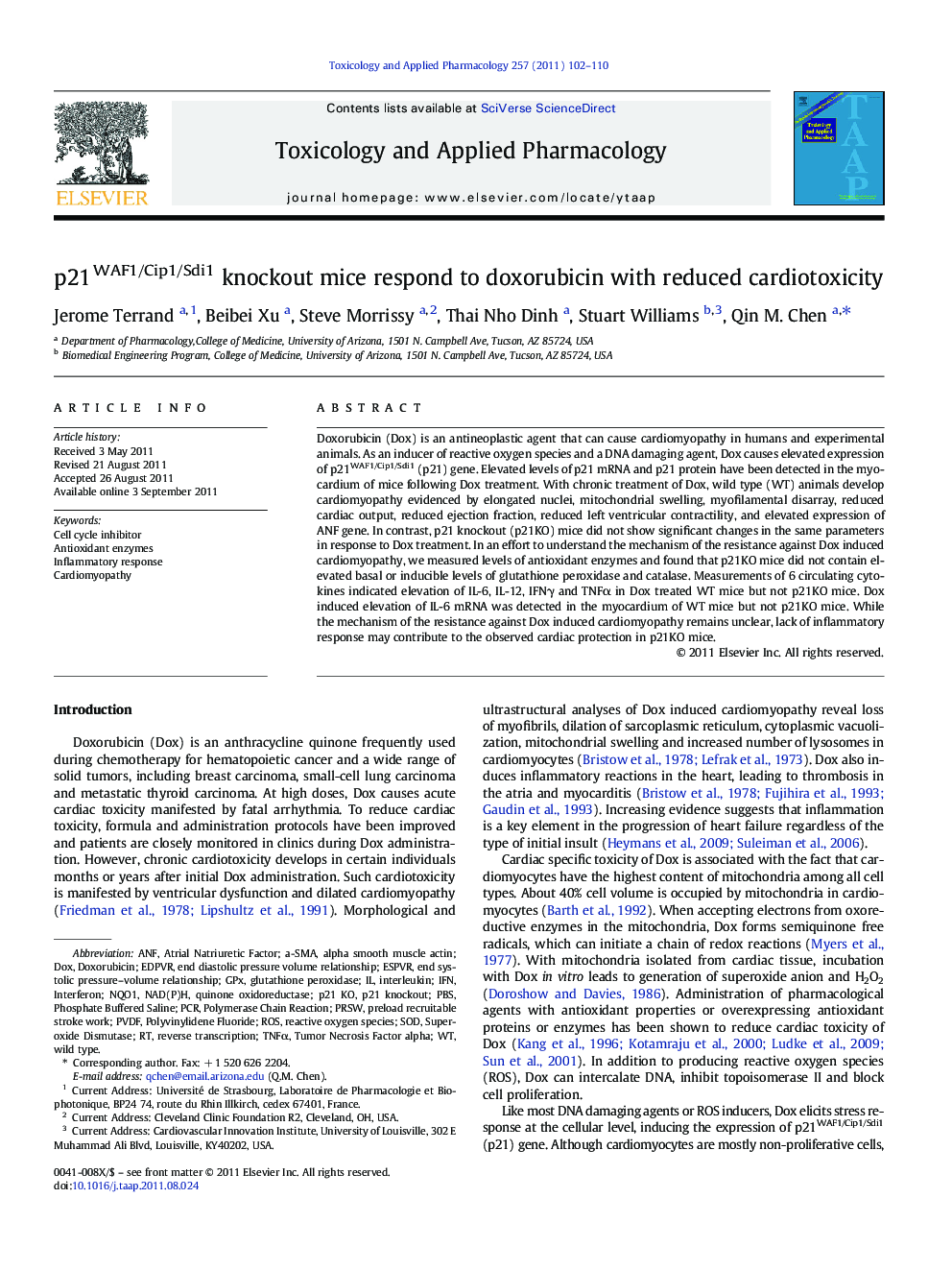 p21WAF1/Cip1/Sdi1 knockout mice respond to doxorubicin with reduced cardiotoxicity