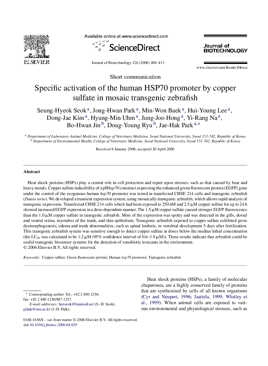 Specific activation of the human HSP70 promoter by copper sulfate in mosaic transgenic zebrafish