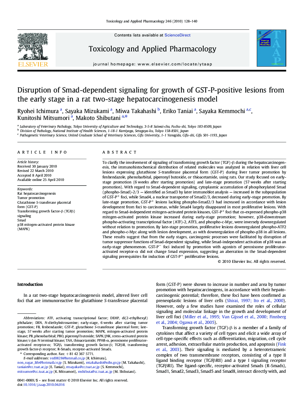 Disruption of Smad-dependent signaling for growth of GST-P-positive lesions from the early stage in a rat two-stage hepatocarcinogenesis model