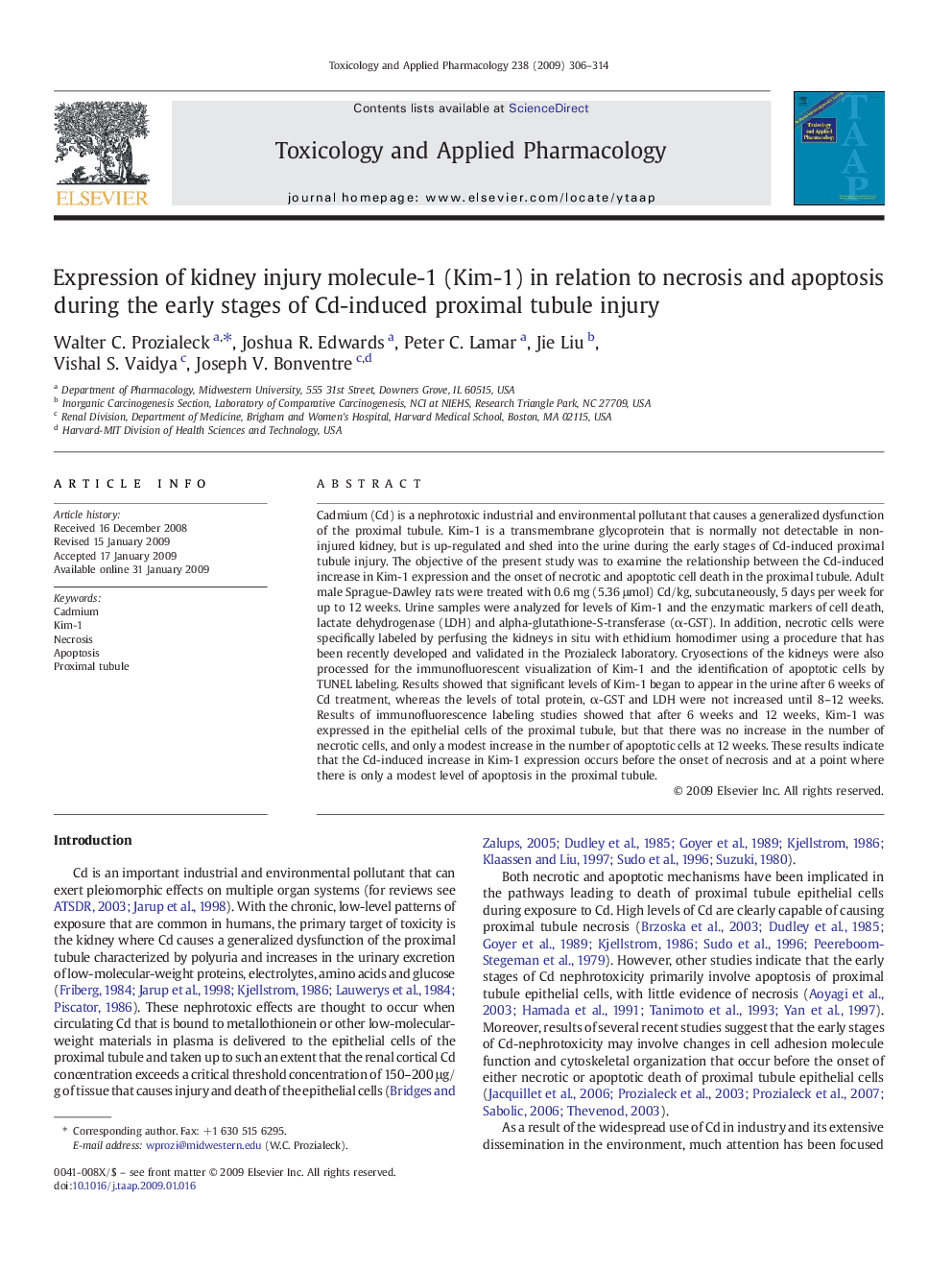 Expression of kidney injury molecule-1 (Kim-1) in relation to necrosis and apoptosis during the early stages of Cd-induced proximal tubule injury