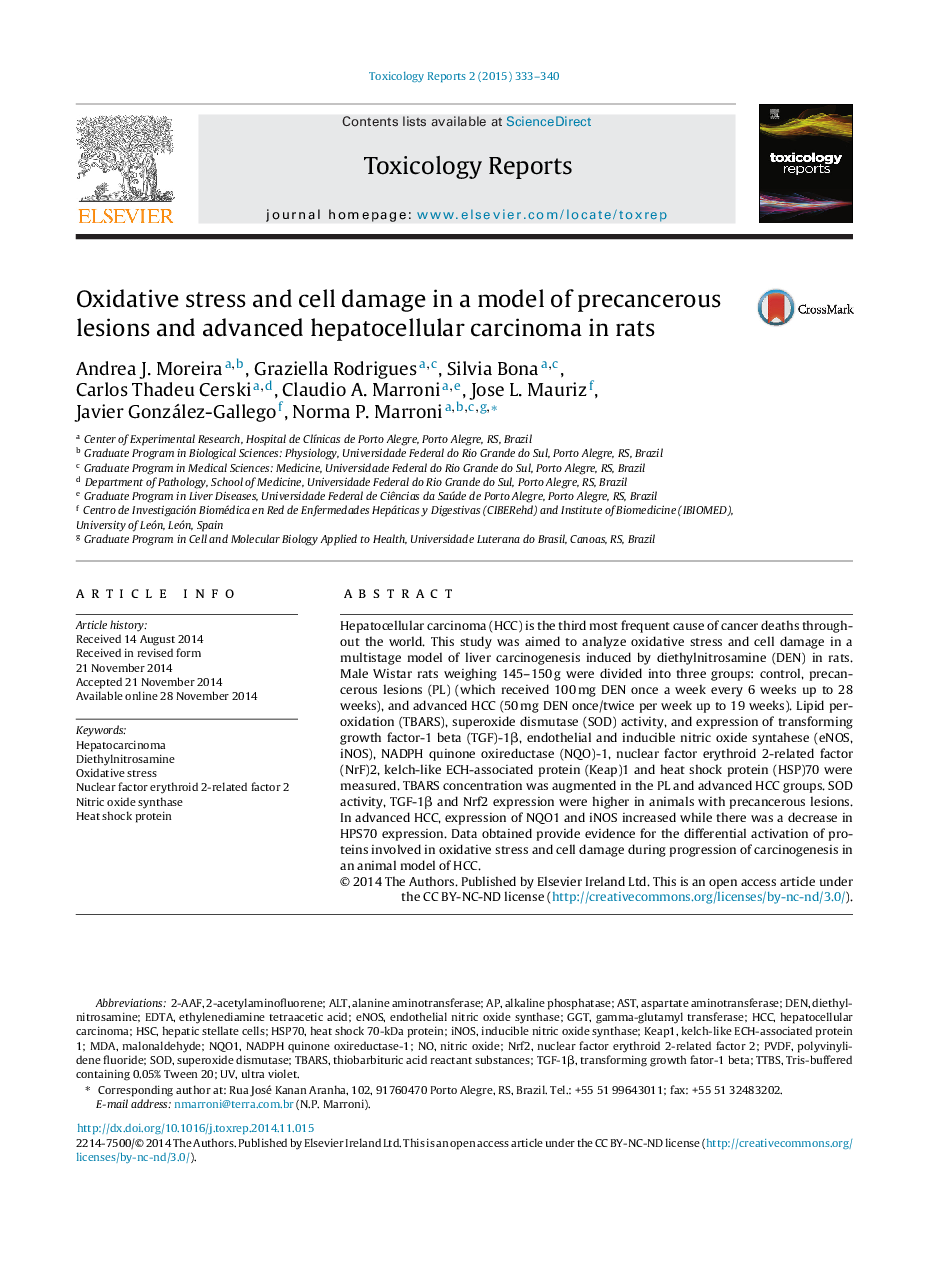 Oxidative stress and cell damage in a model of precancerous lesions and advanced hepatocellular carcinoma in rats