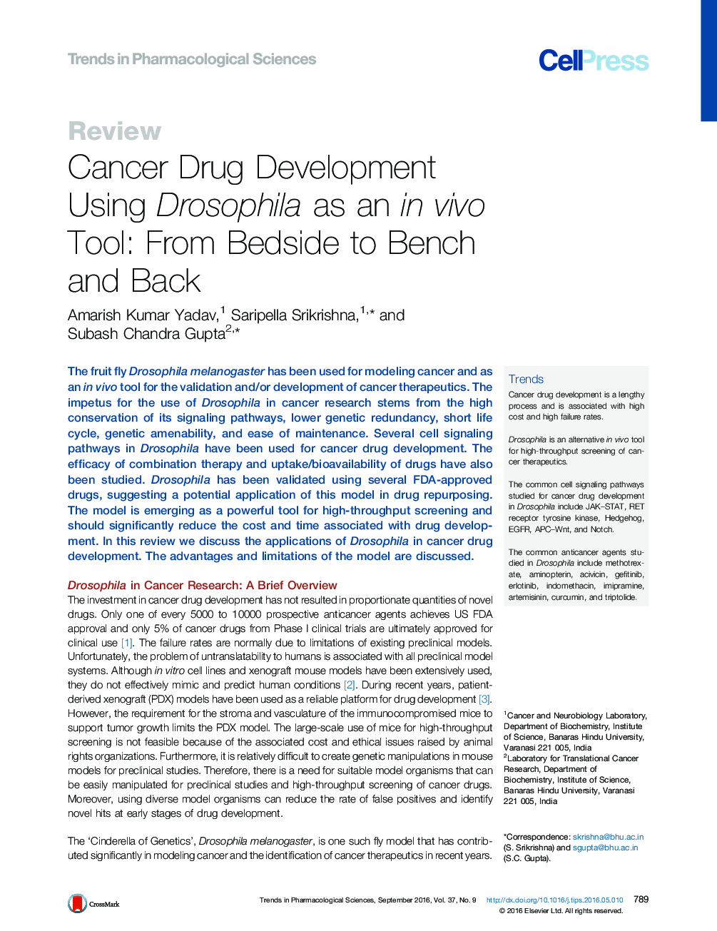 Cancer Drug Development Using Drosophila as an in vivo Tool: From Bedside to Bench and Back