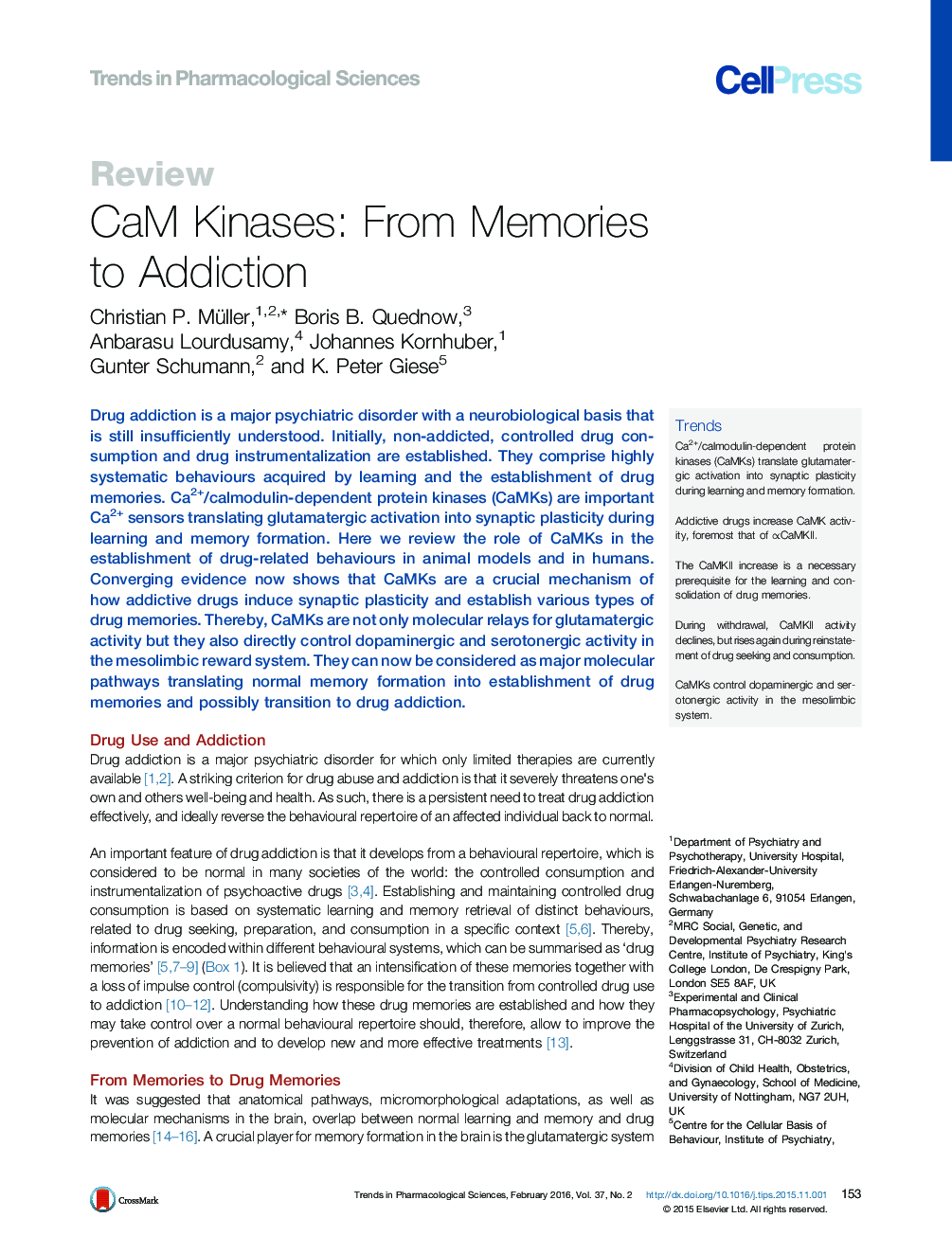 CaM Kinases: From Memories to Addiction