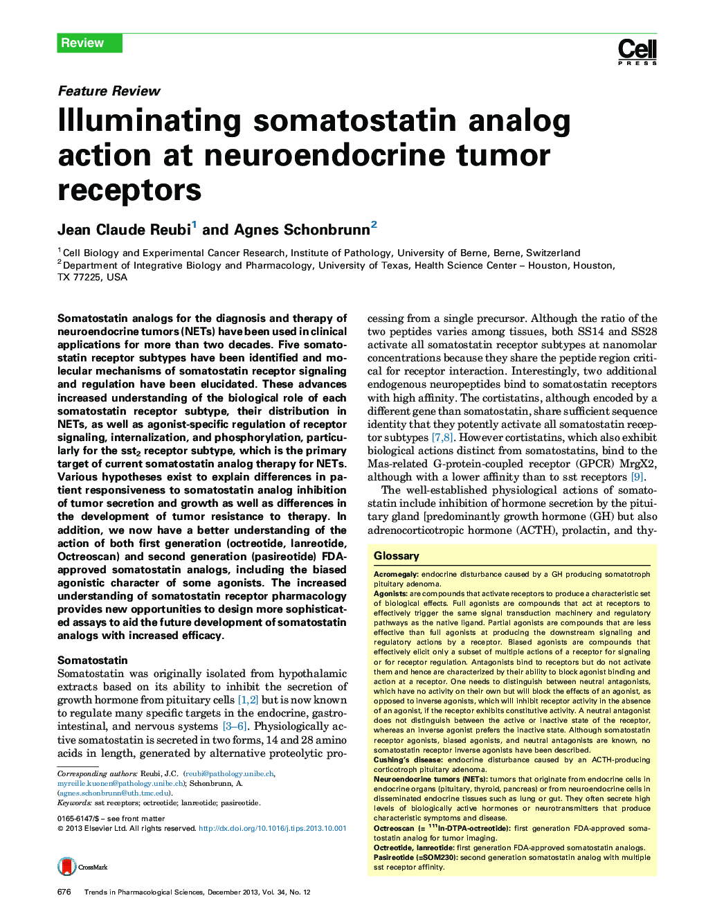 Illuminating somatostatin analog action at neuroendocrine tumor receptors