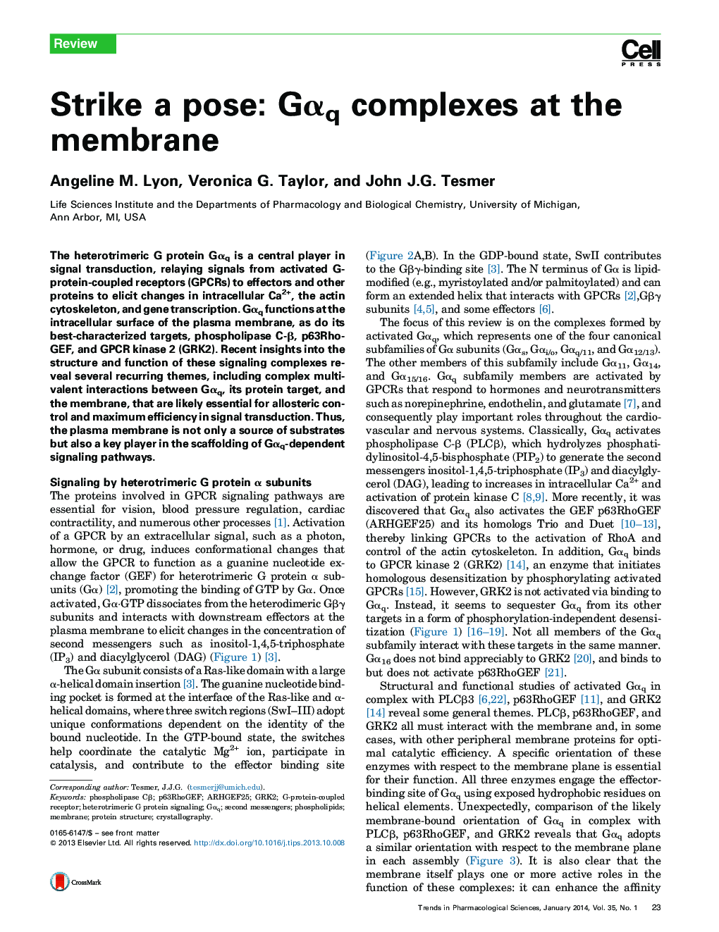 Strike a pose: Gαq complexes at the membrane