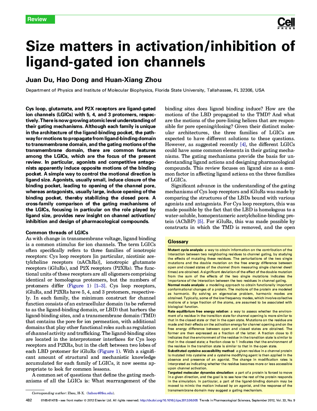 Size matters in activation/inhibition of ligand-gated ion channels