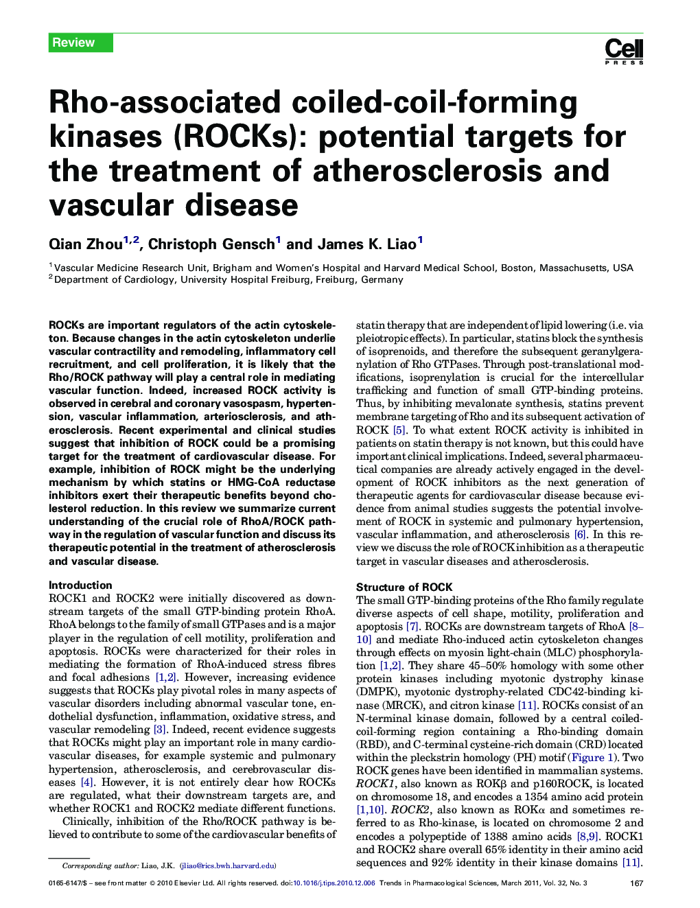Rho-associated coiled-coil-forming kinases (ROCKs): potential targets for the treatment of atherosclerosis and vascular disease