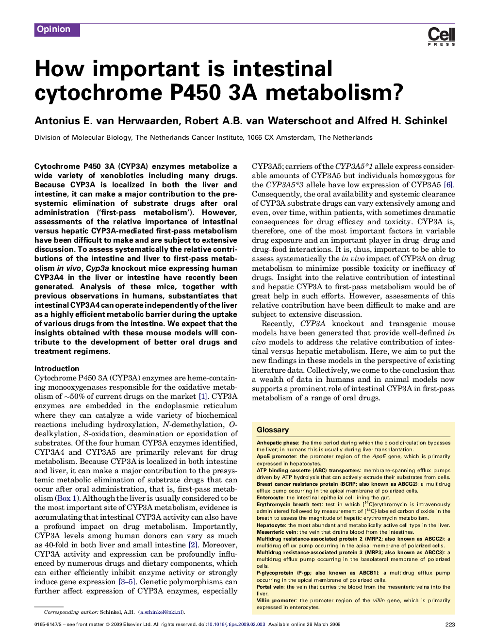 How important is intestinal cytochrome P450 3A metabolism?