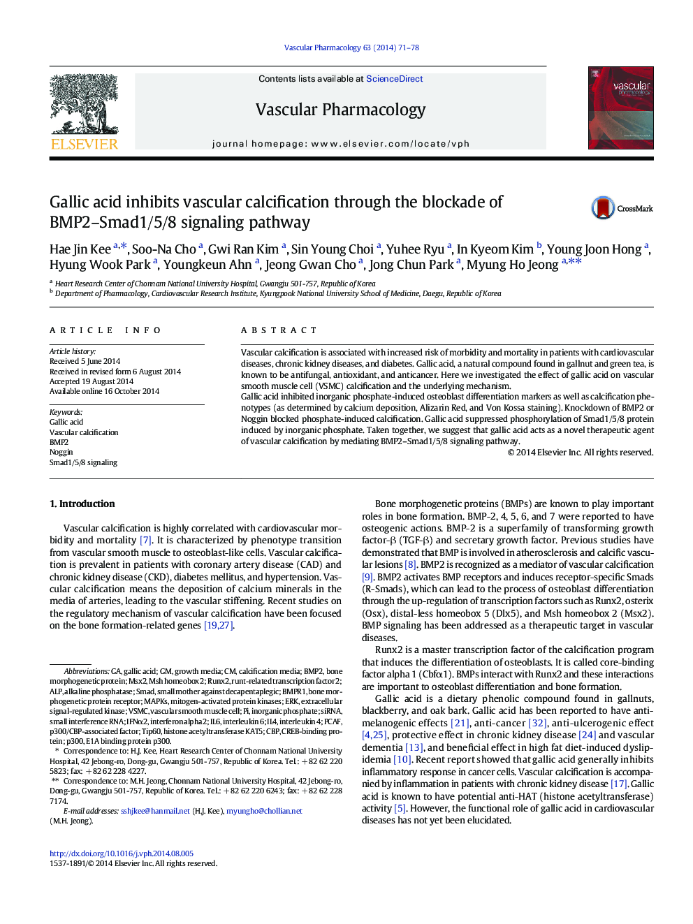 Gallic acid inhibits vascular calcification through the blockade of BMP2–Smad1/5/8 signaling pathway