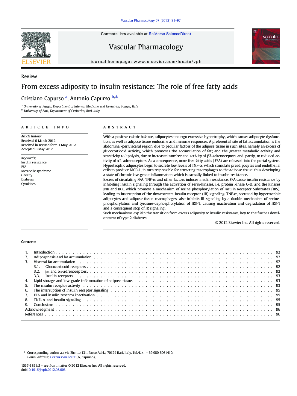 From excess adiposity to insulin resistance: The role of free fatty acids