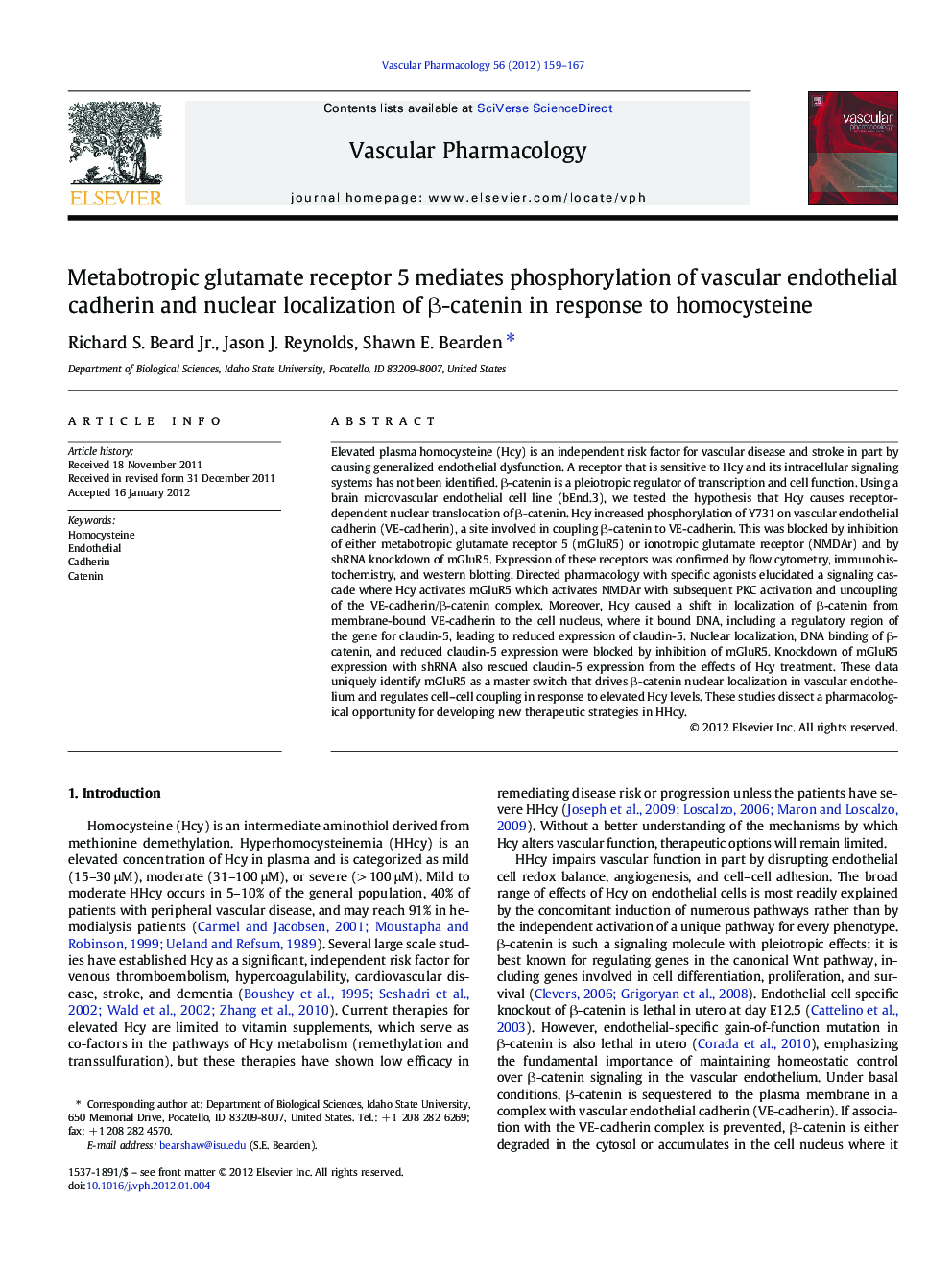 Metabotropic glutamate receptor 5 mediates phosphorylation of vascular endothelial cadherin and nuclear localization of β-catenin in response to homocysteine