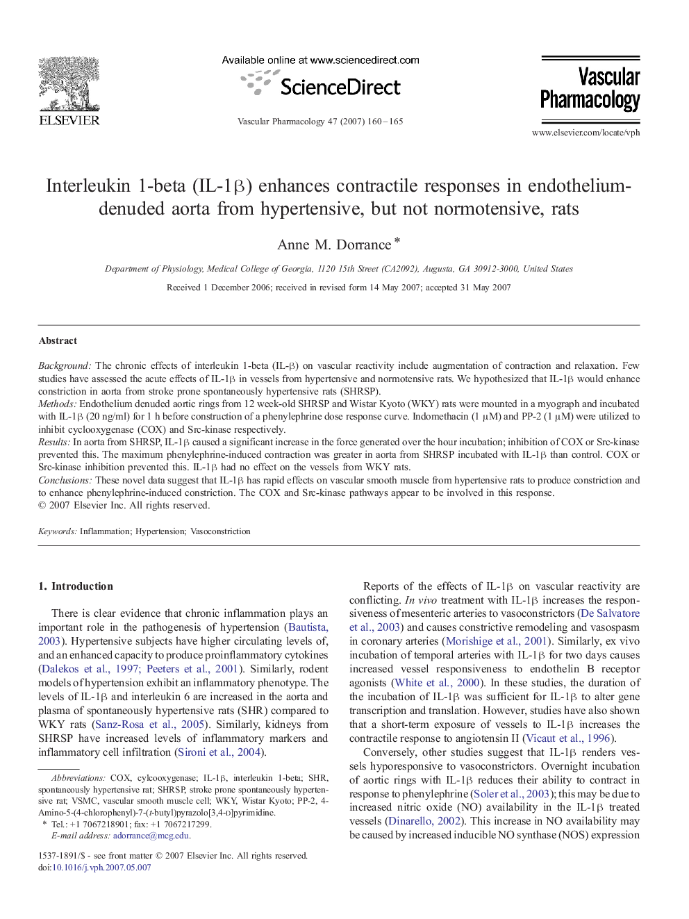 Interleukin 1-beta (IL-1β) enhances contractile responses in endothelium-denuded aorta from hypertensive, but not normotensive, rats