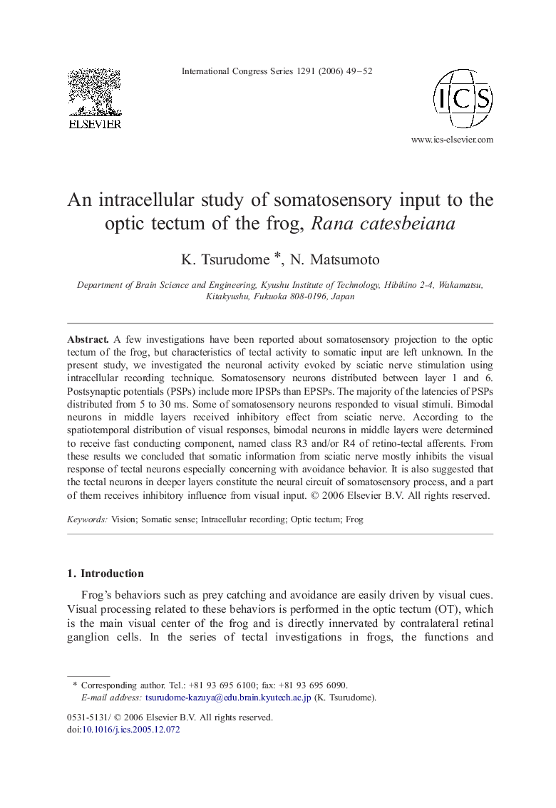 An intracellular study of somatosensory input to the optic tectum of the frog, Rana catesbeiana