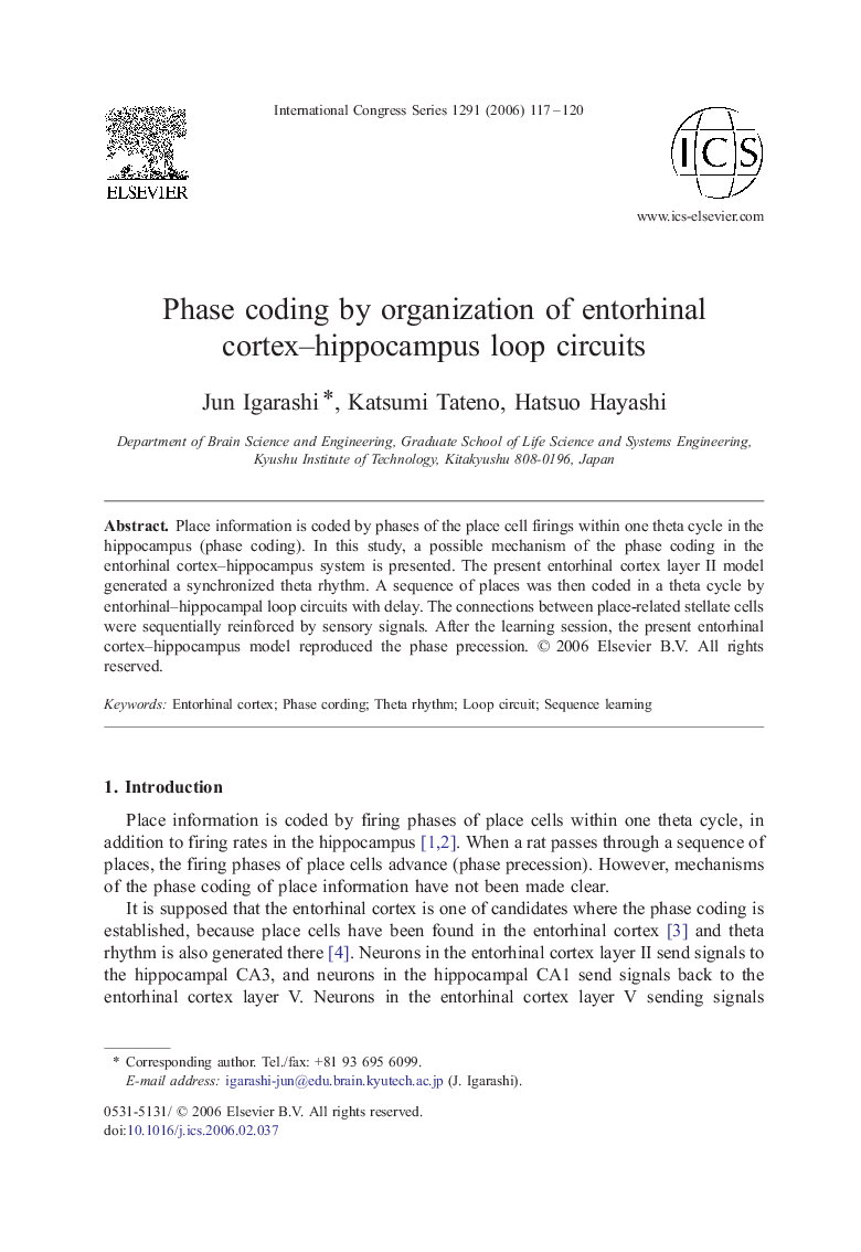 Phase coding by organization of entorhinal cortex–hippocampus loop circuits