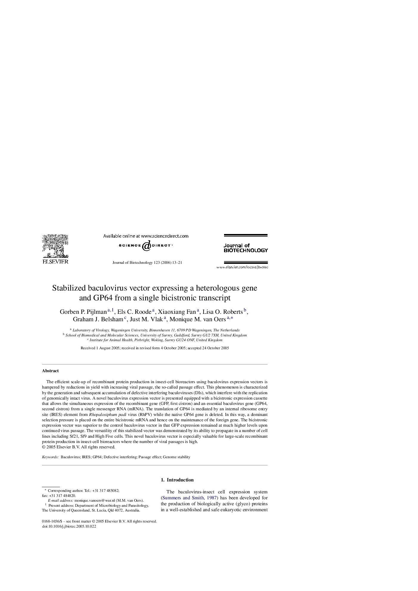 Stabilized baculovirus vector expressing a heterologous gene and GP64 from a single bicistronic transcript