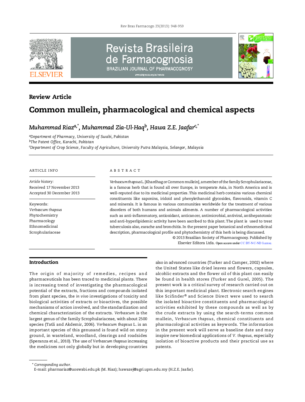 Common mullein, pharmacological and chemical aspects