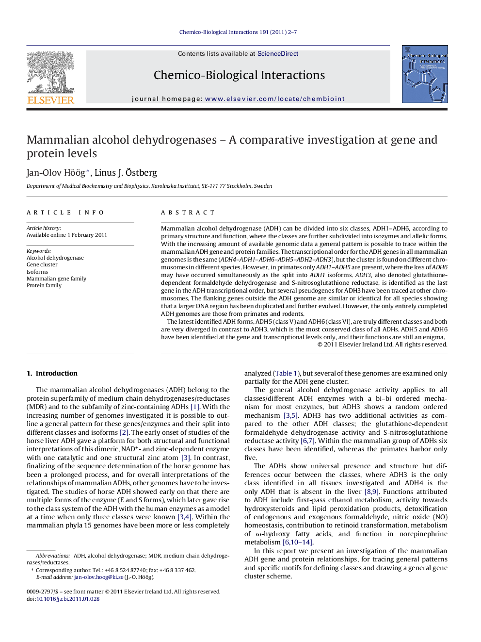 Mammalian alcohol dehydrogenases – A comparative investigation at gene and protein levels