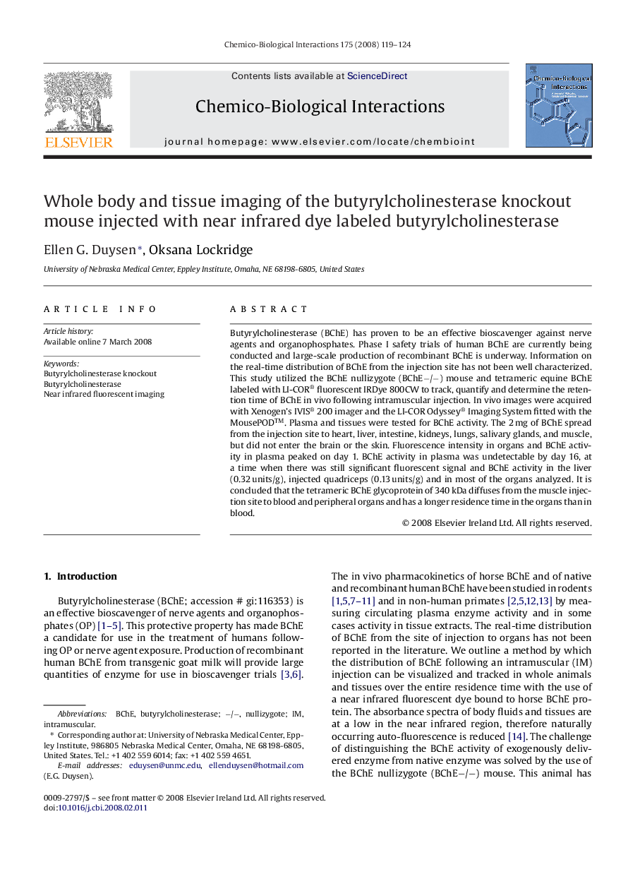 Whole body and tissue imaging of the butyrylcholinesterase knockout mouse injected with near infrared dye labeled butyrylcholinesterase