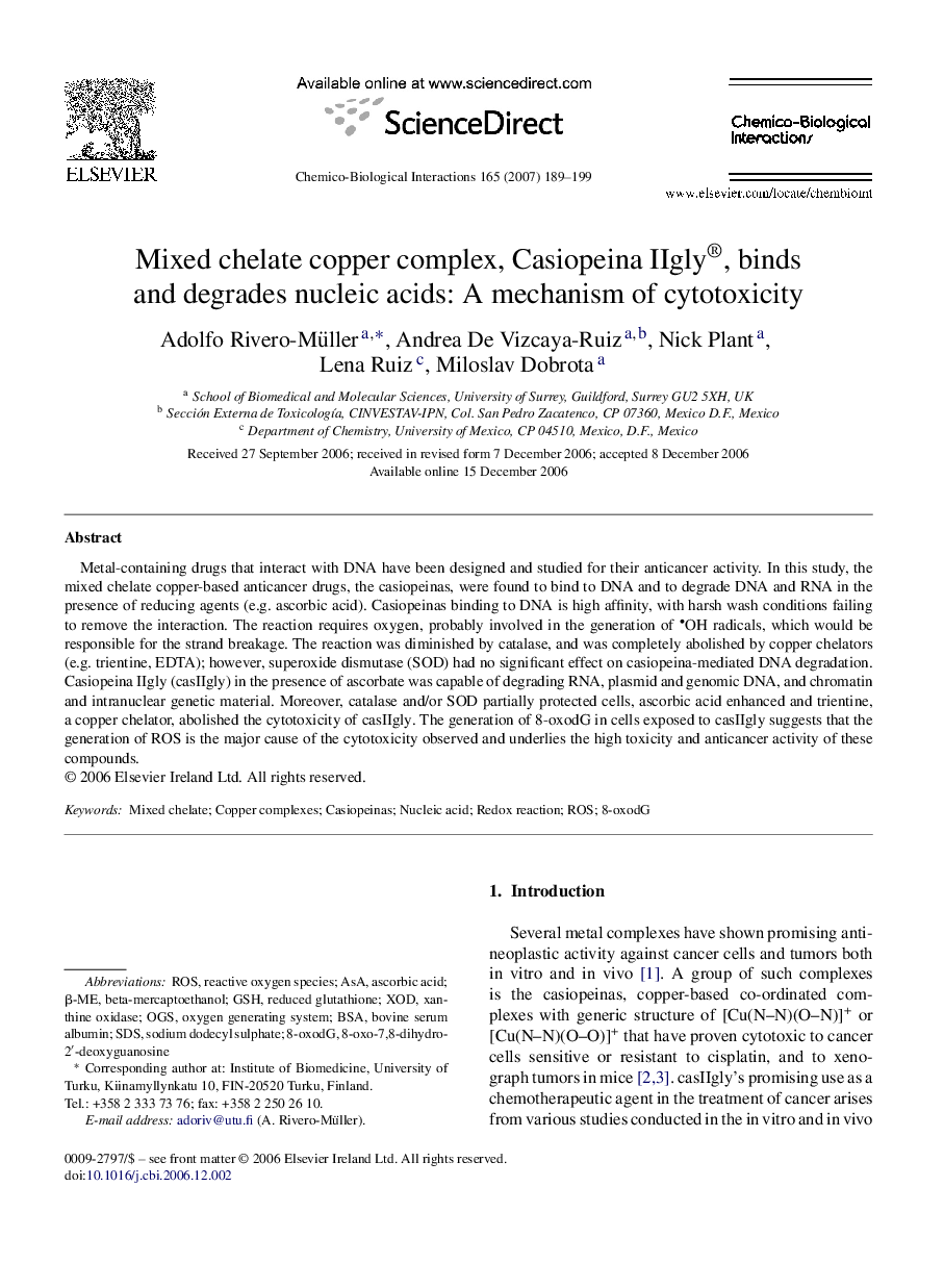 Mixed chelate copper complex, Casiopeina IIgly®, binds and degrades nucleic acids: A mechanism of cytotoxicity