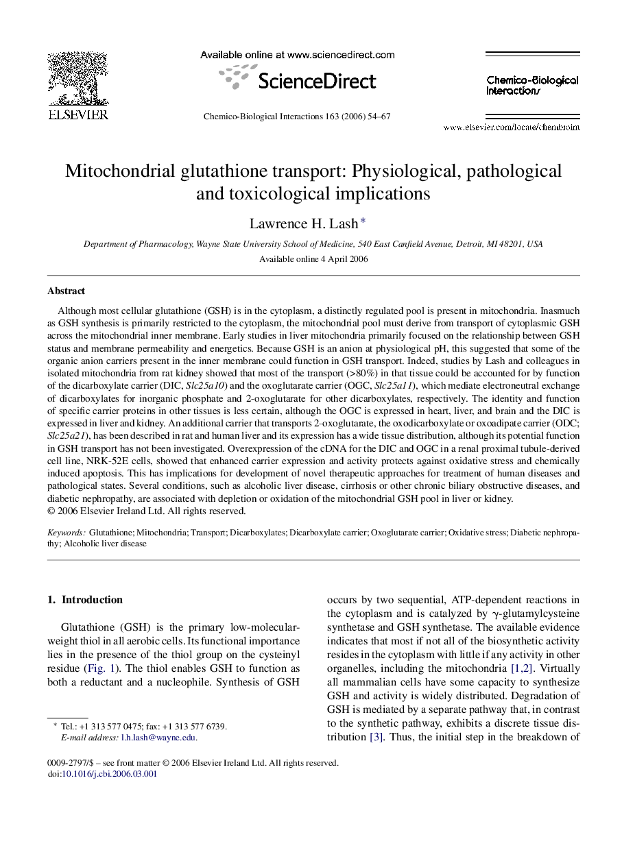 Mitochondrial glutathione transport: Physiological, pathological and toxicological implications