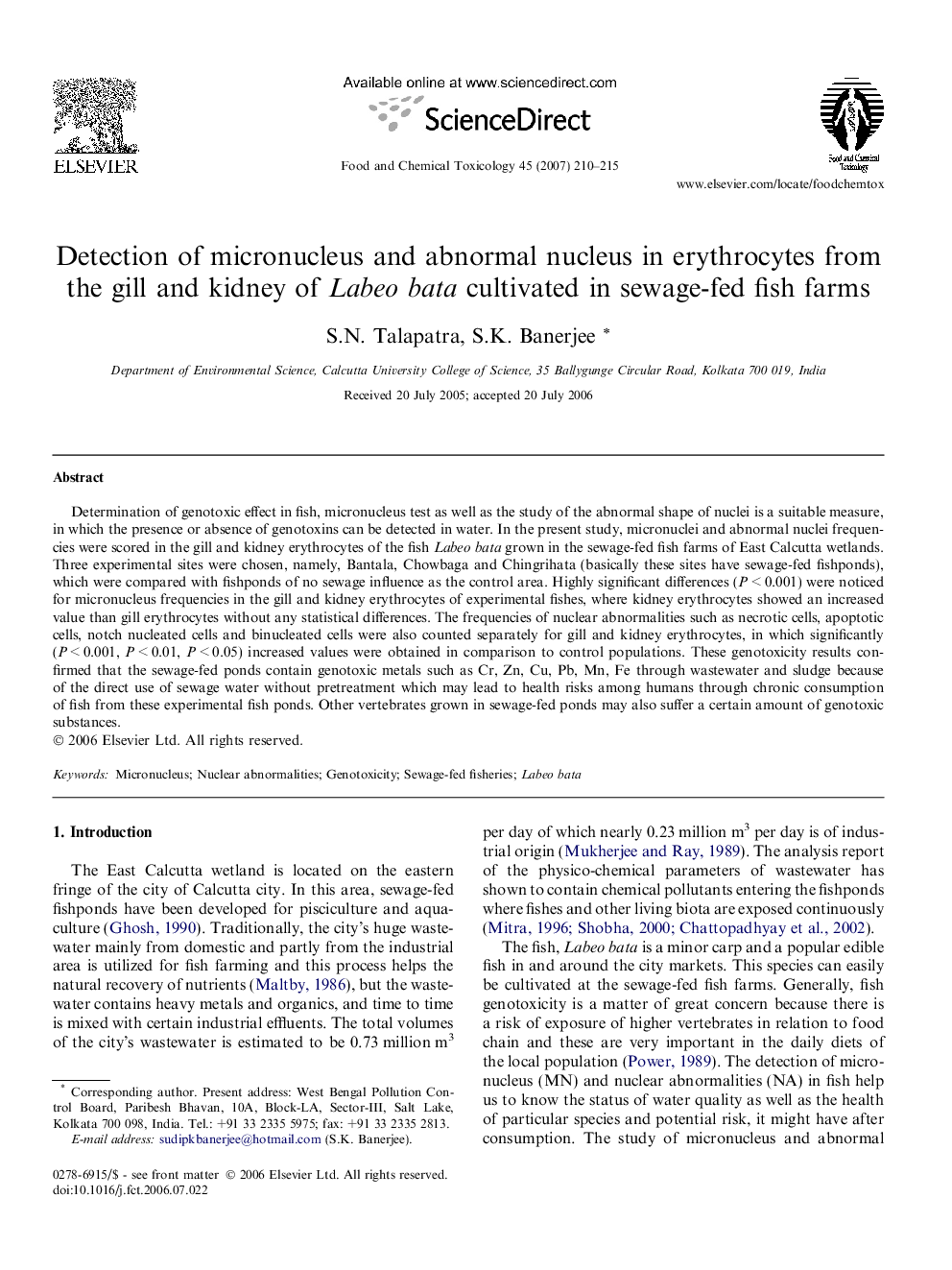 Detection of micronucleus and abnormal nucleus in erythrocytes from the gill and kidney of Labeo bata cultivated in sewage-fed fish farms