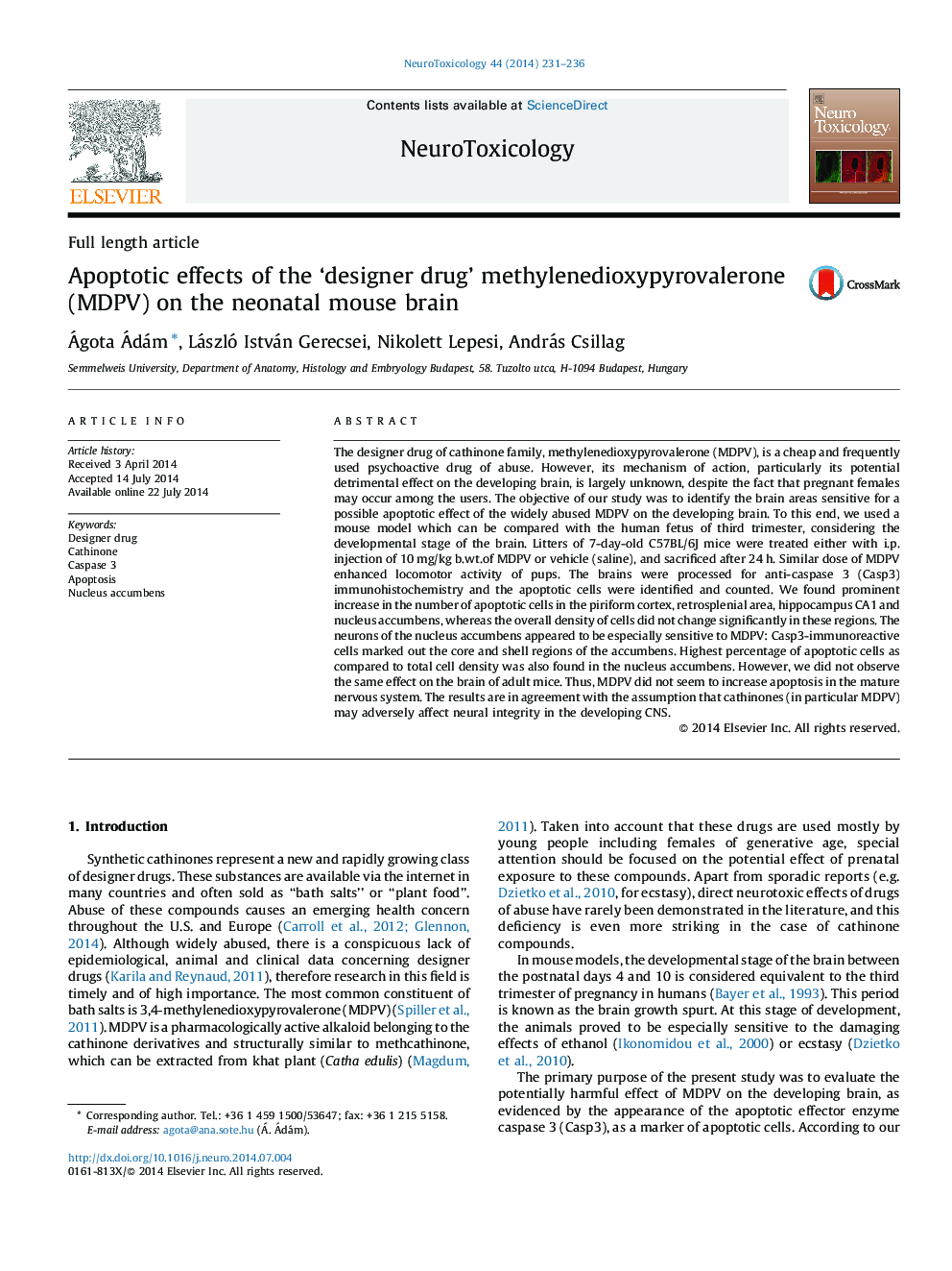 Apoptotic effects of the ‘designer drug’ methylenedioxypyrovalerone (MDPV) on the neonatal mouse brain