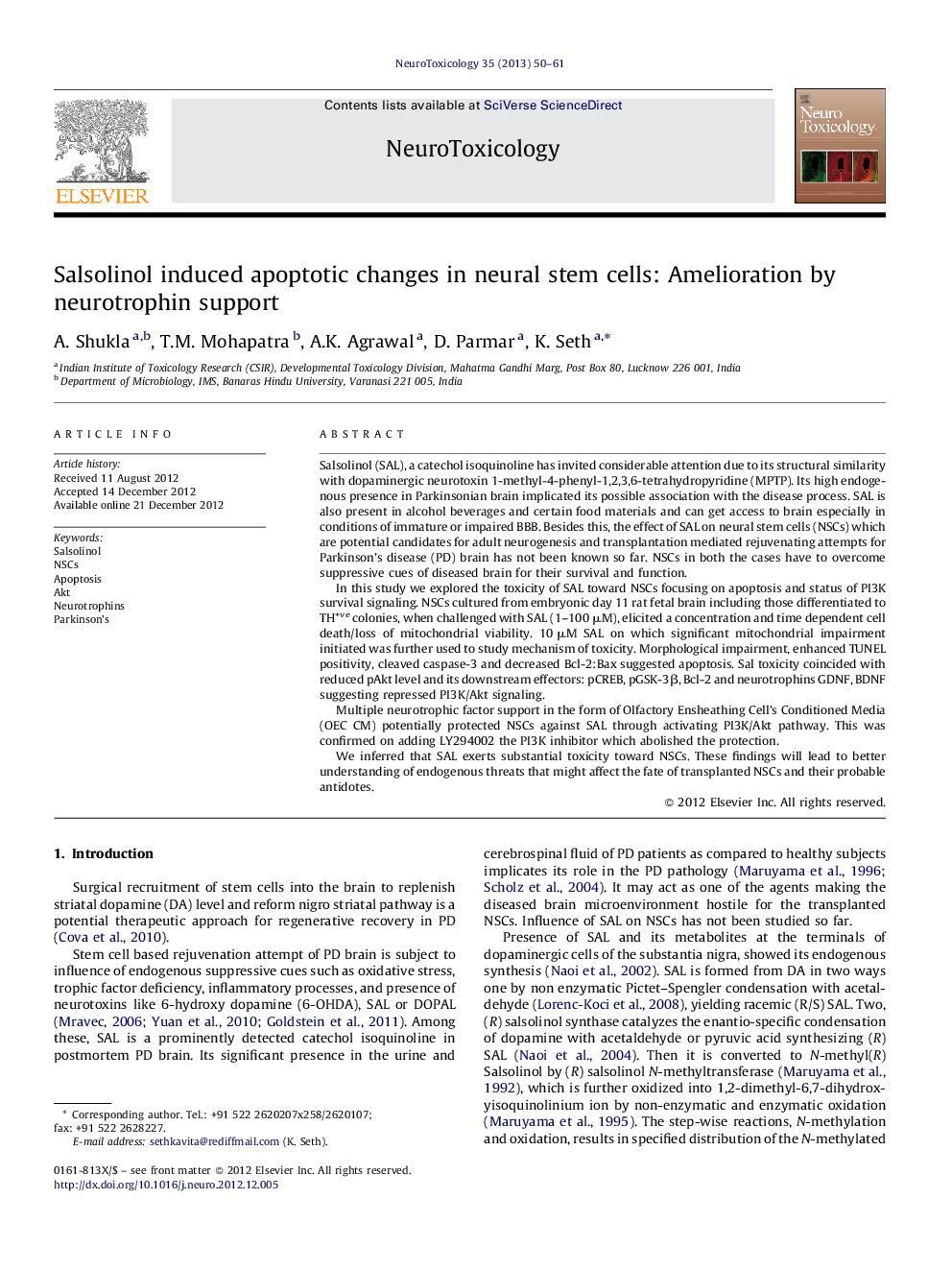 Salsolinol induced apoptotic changes in neural stem cells: Amelioration by neurotrophin support