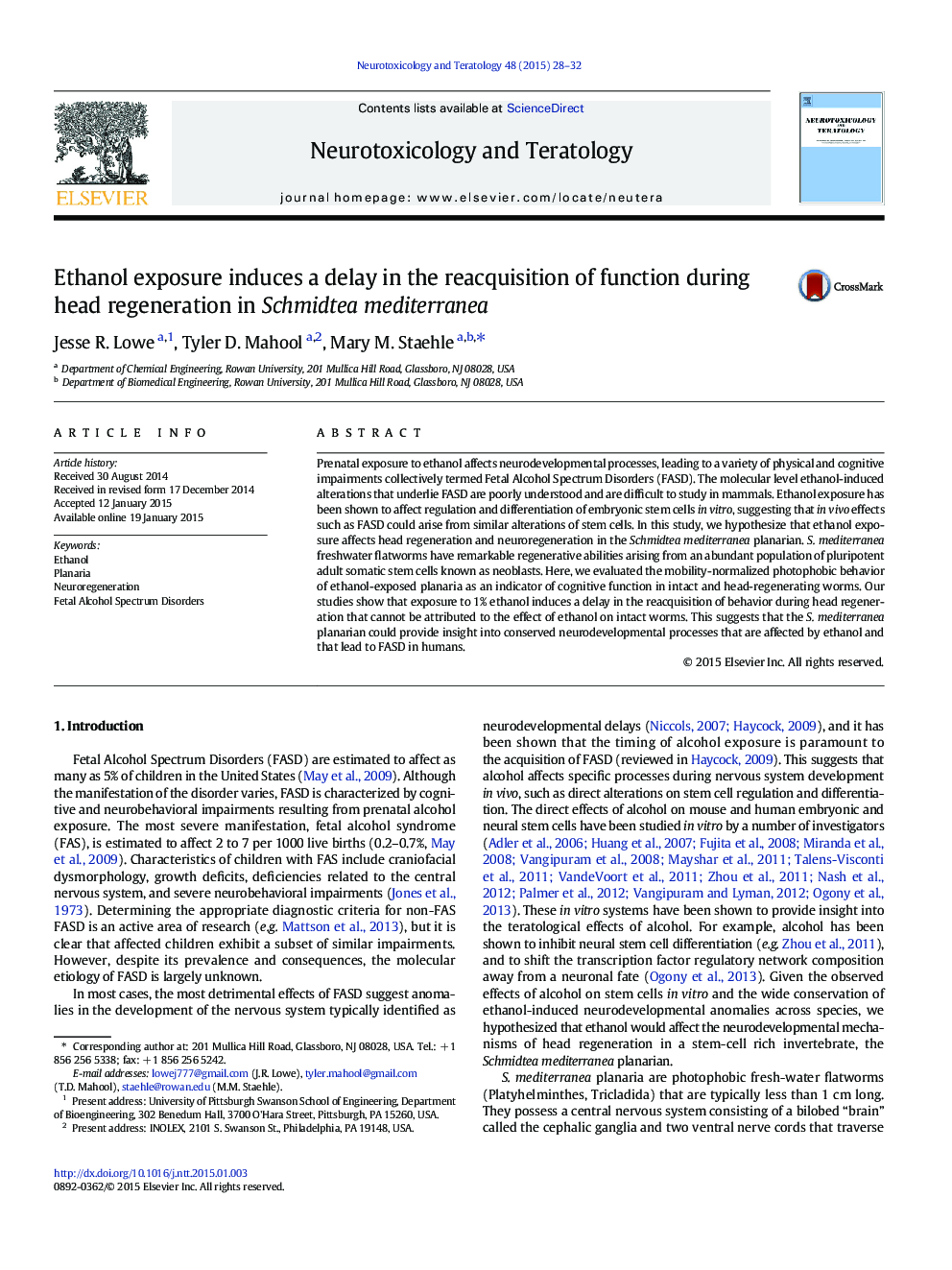 Ethanol exposure induces a delay in the reacquisition of function during head regeneration in Schmidtea mediterranea