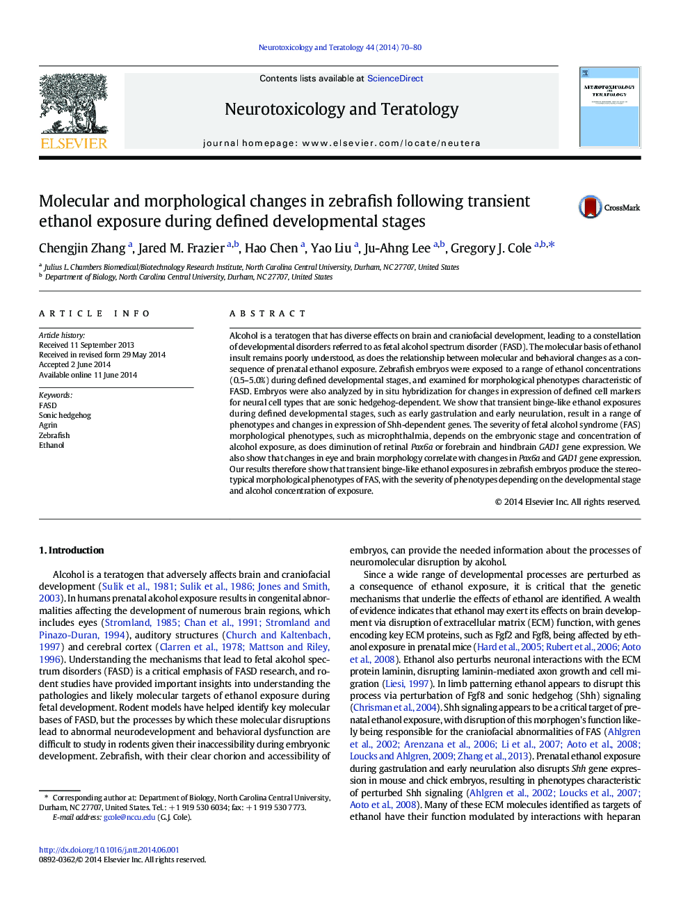 Molecular and morphological changes in zebrafish following transient ethanol exposure during defined developmental stages