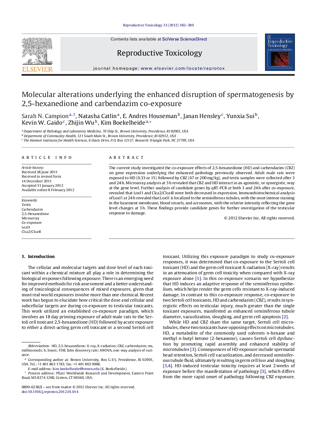 Molecular alterations underlying the enhanced disruption of spermatogenesis by 2,5-hexanedione and carbendazim co-exposure