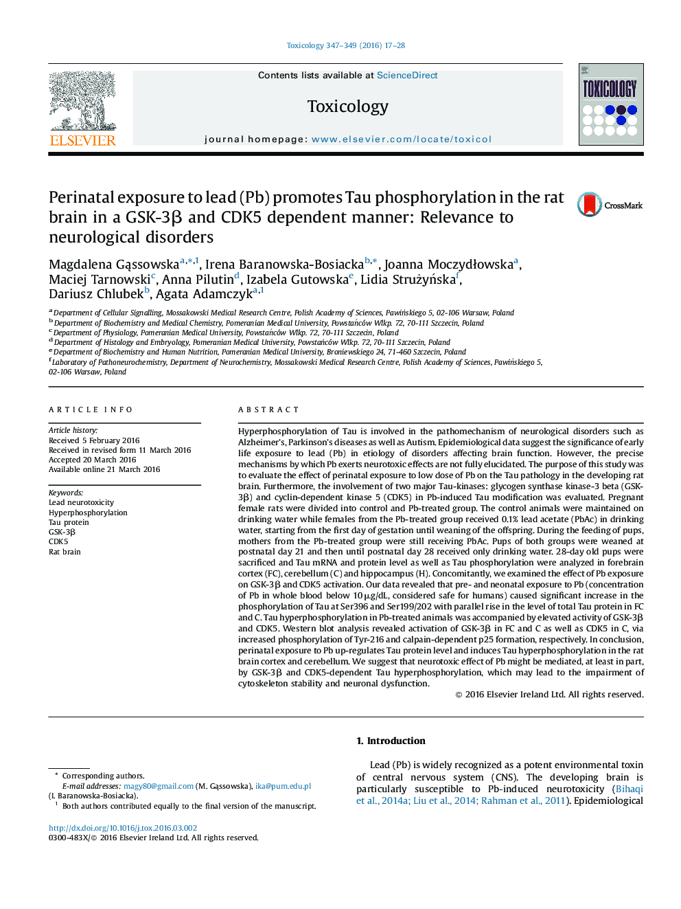 Perinatal exposure to lead (Pb) promotes Tau phosphorylation in the rat brain in a GSK-3β and CDK5 dependent manner: Relevance to neurological disorders