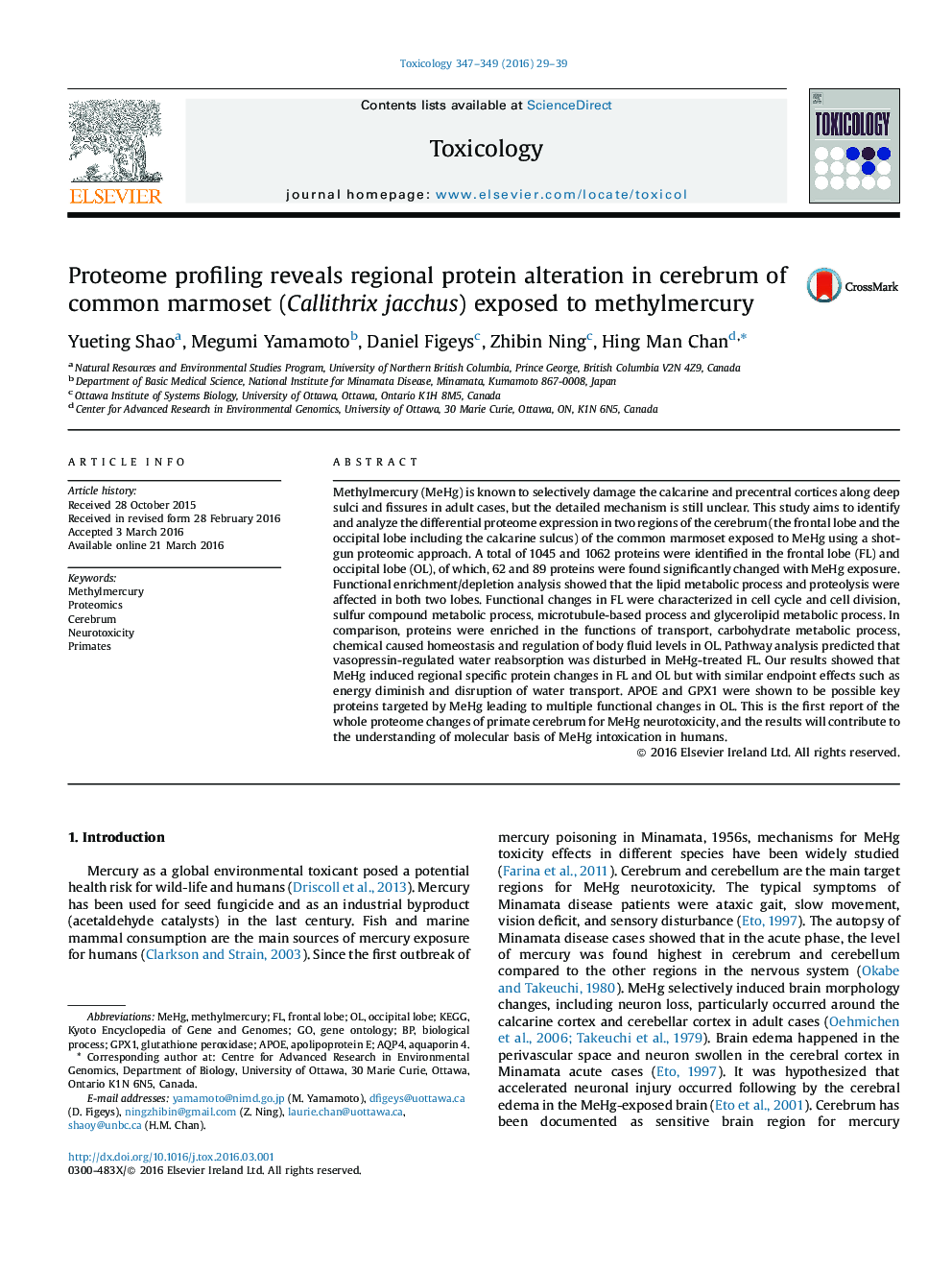 Proteome profiling reveals regional protein alteration in cerebrum of common marmoset (Callithrix jacchus) exposed to methylmercury