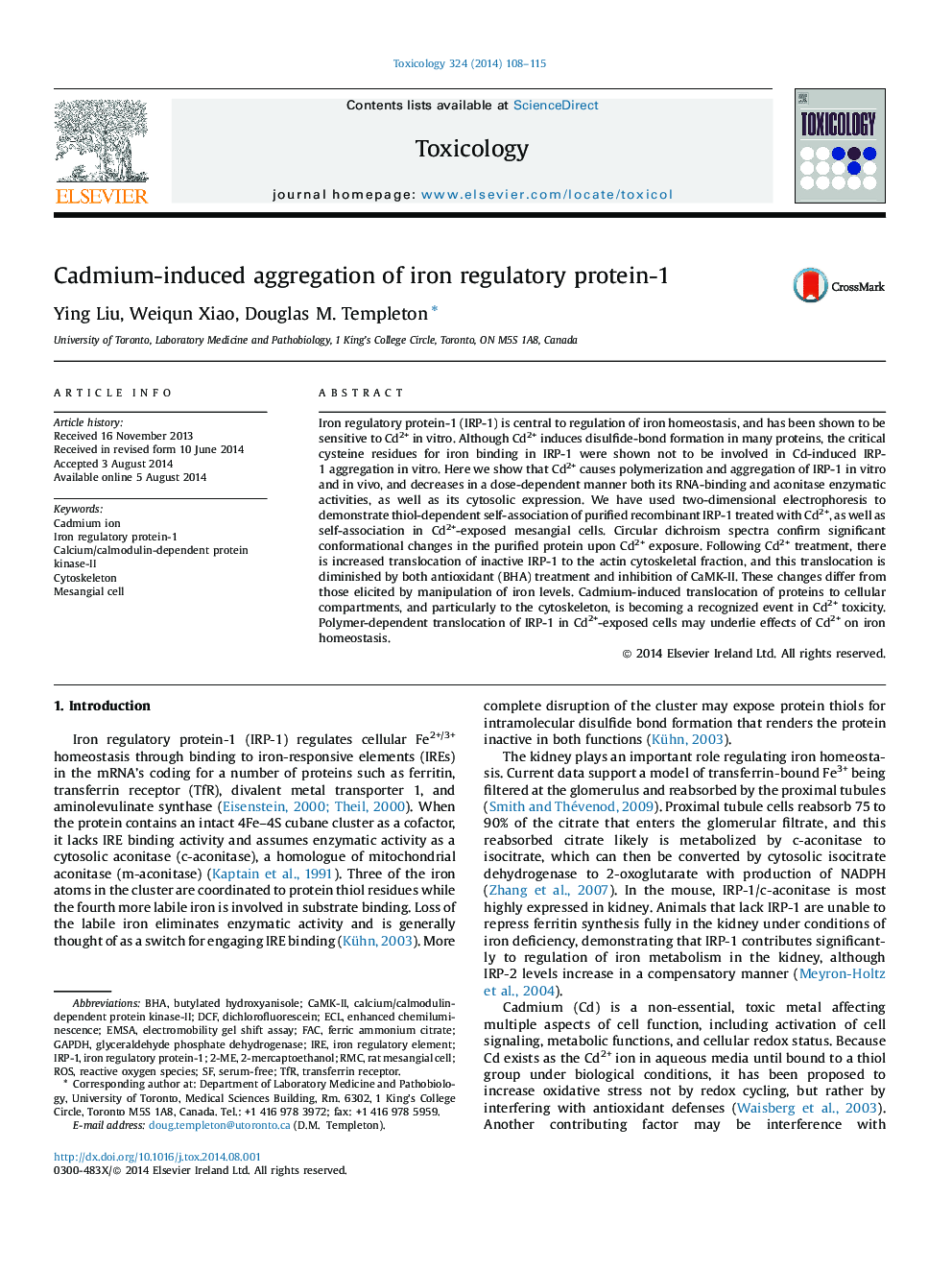 Cadmium-induced aggregation of iron regulatory protein-1