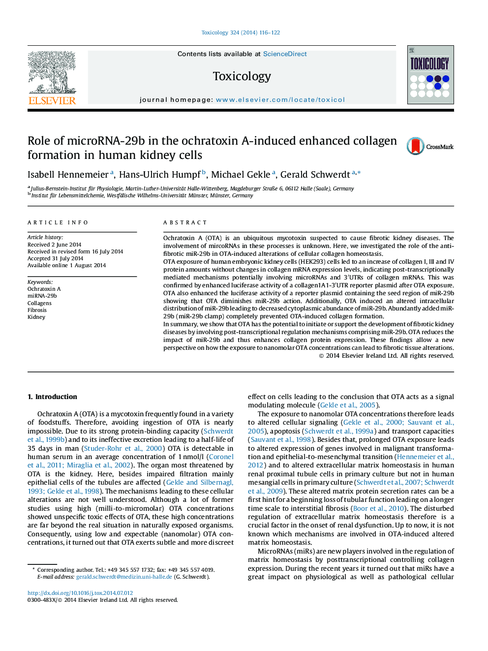 Role of microRNA-29b in the ochratoxin A-induced enhanced collagen formation in human kidney cells