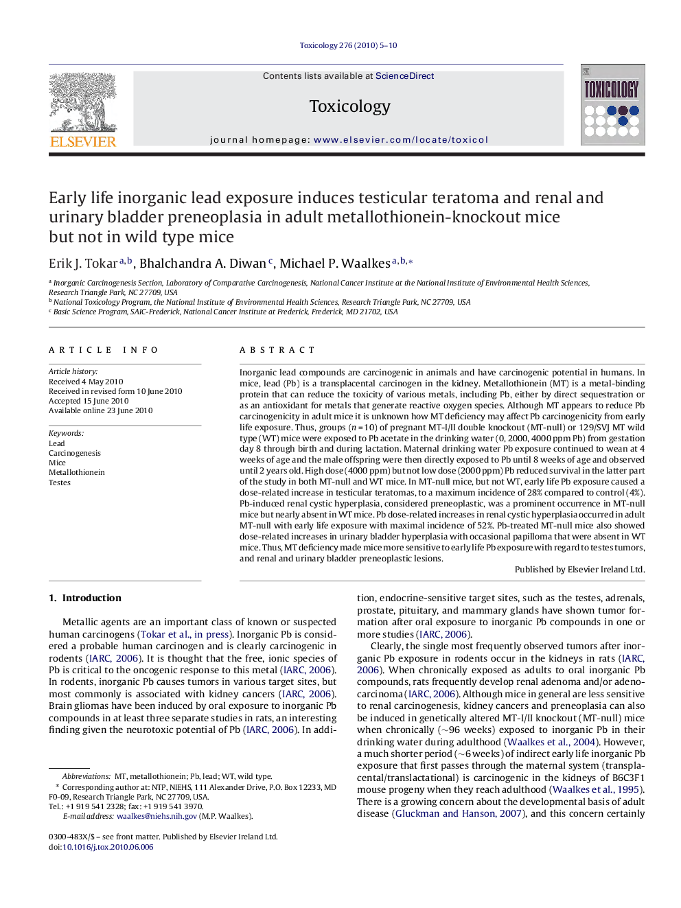 عکس صفحه اول مقاله: Early life inorganic lead exposure induces testicular teratoma and renal and urinary bladder preneoplasia in adult metallothionein-knockout mice but not in wild type mice Early life inorganic lead exposure induces testicular teratoma and renal and urinary bladder preneoplasia in adult metallothionein-knockout mice but not in wild type mice