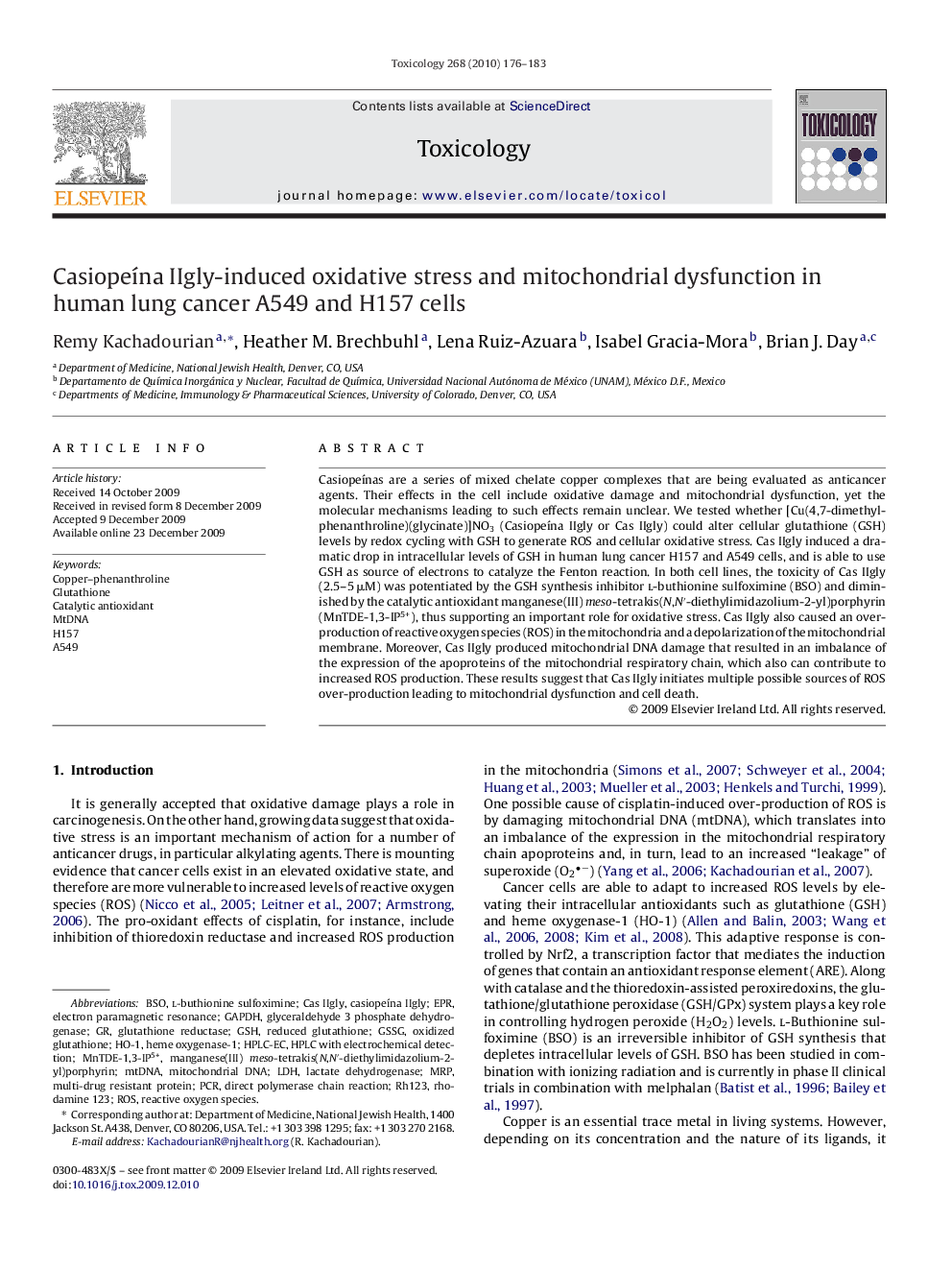 Casiopeína IIgly-induced oxidative stress and mitochondrial dysfunction in human lung cancer A549 and H157 cells