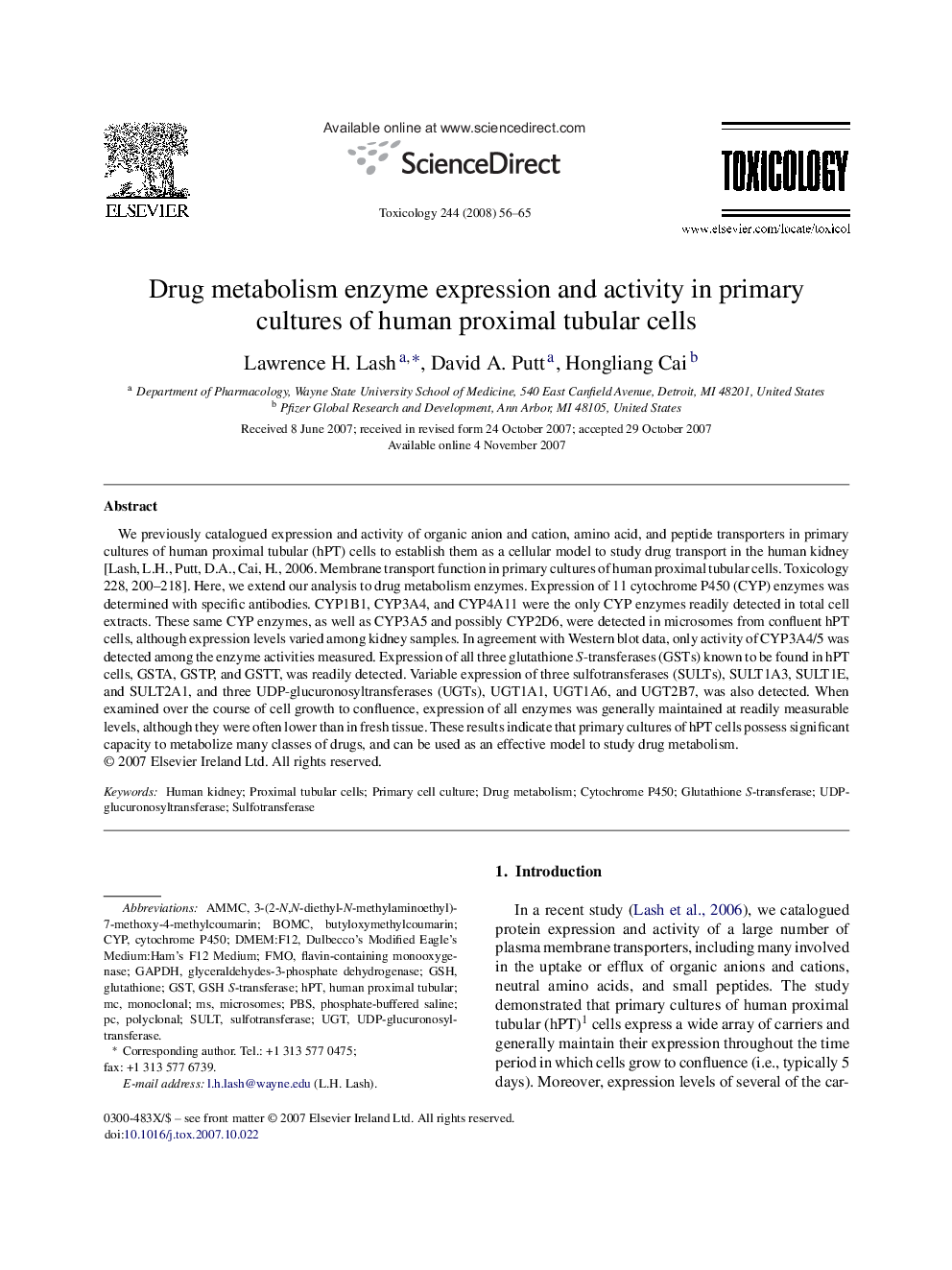 Drug metabolism enzyme expression and activity in primary cultures of human proximal tubular cells