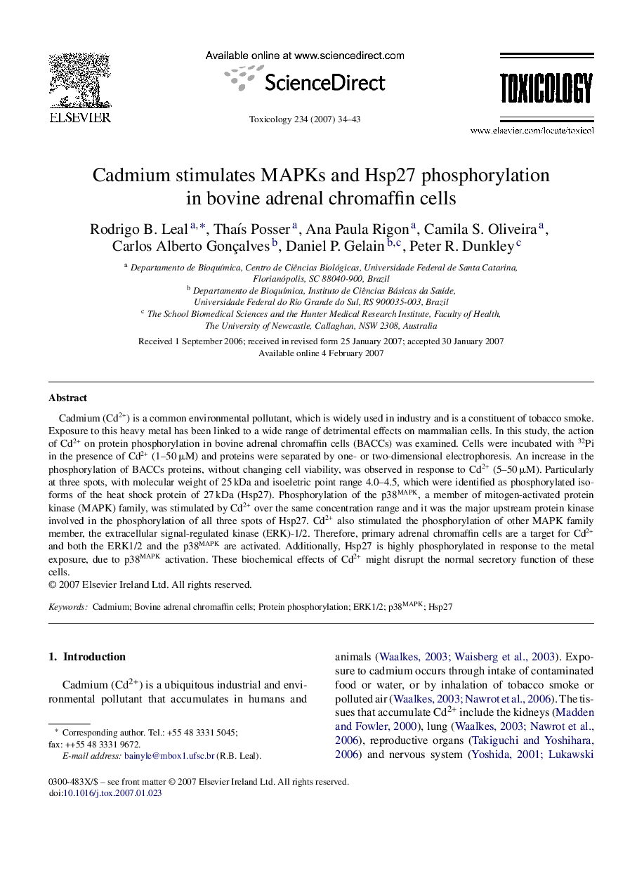 Cadmium stimulates MAPKs and Hsp27 phosphorylation in bovine adrenal chromaffin cells