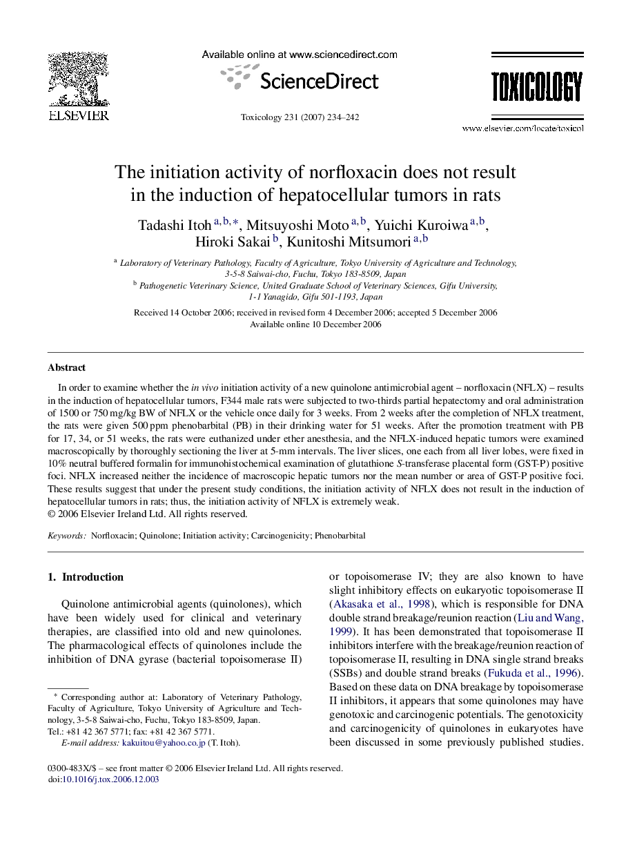 The initiation activity of norfloxacin does not result in the induction of hepatocellular tumors in rats