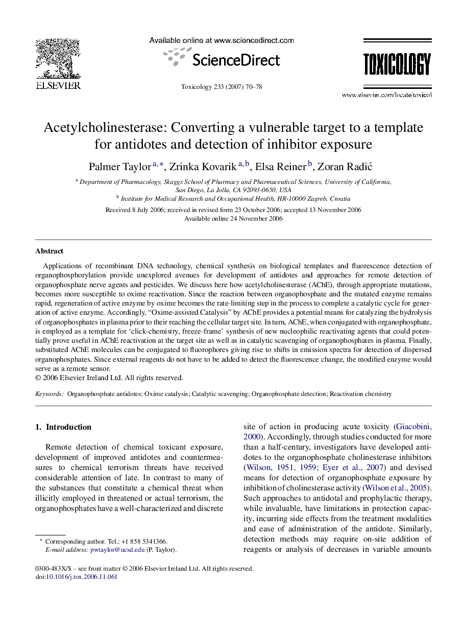Acetylcholinesterase: Converting a vulnerable target to a template for antidotes and detection of inhibitor exposure