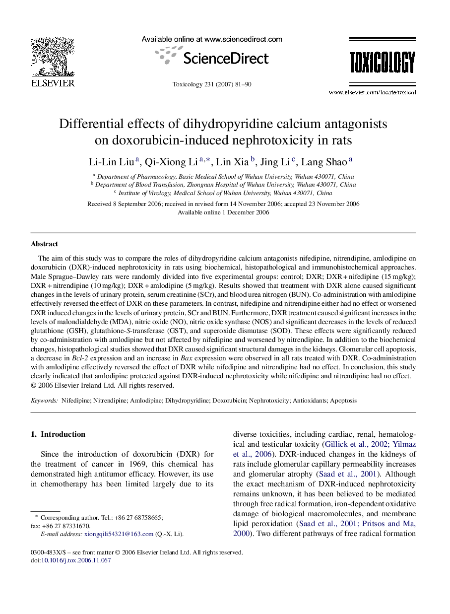 Differential effects of dihydropyridine calcium antagonists on doxorubicin-induced nephrotoxicity in rats