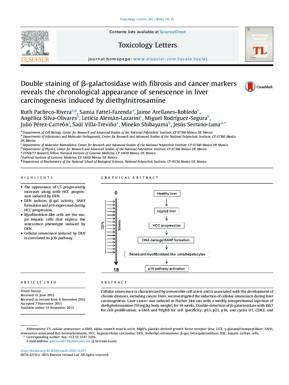 Double staining of β-galactosidase with fibrosis and cancer markers reveals the chronological appearance of senescence in liver carcinogenesis induced by diethylnitrosamine