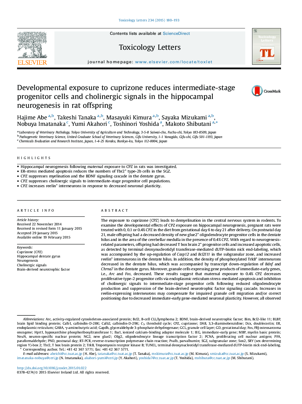 Developmental exposure to cuprizone reduces intermediate-stage progenitor cells and cholinergic signals in the hippocampal neurogenesis in rat offspring