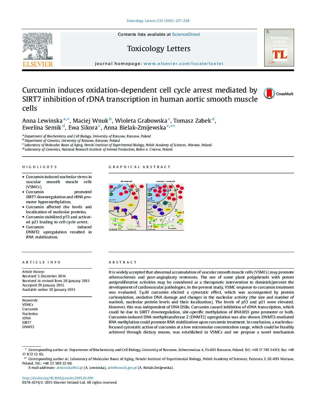 Curcumin induces oxidation-dependent cell cycle arrest mediated by SIRT7 inhibition of rDNA transcription in human aortic smooth muscle cells