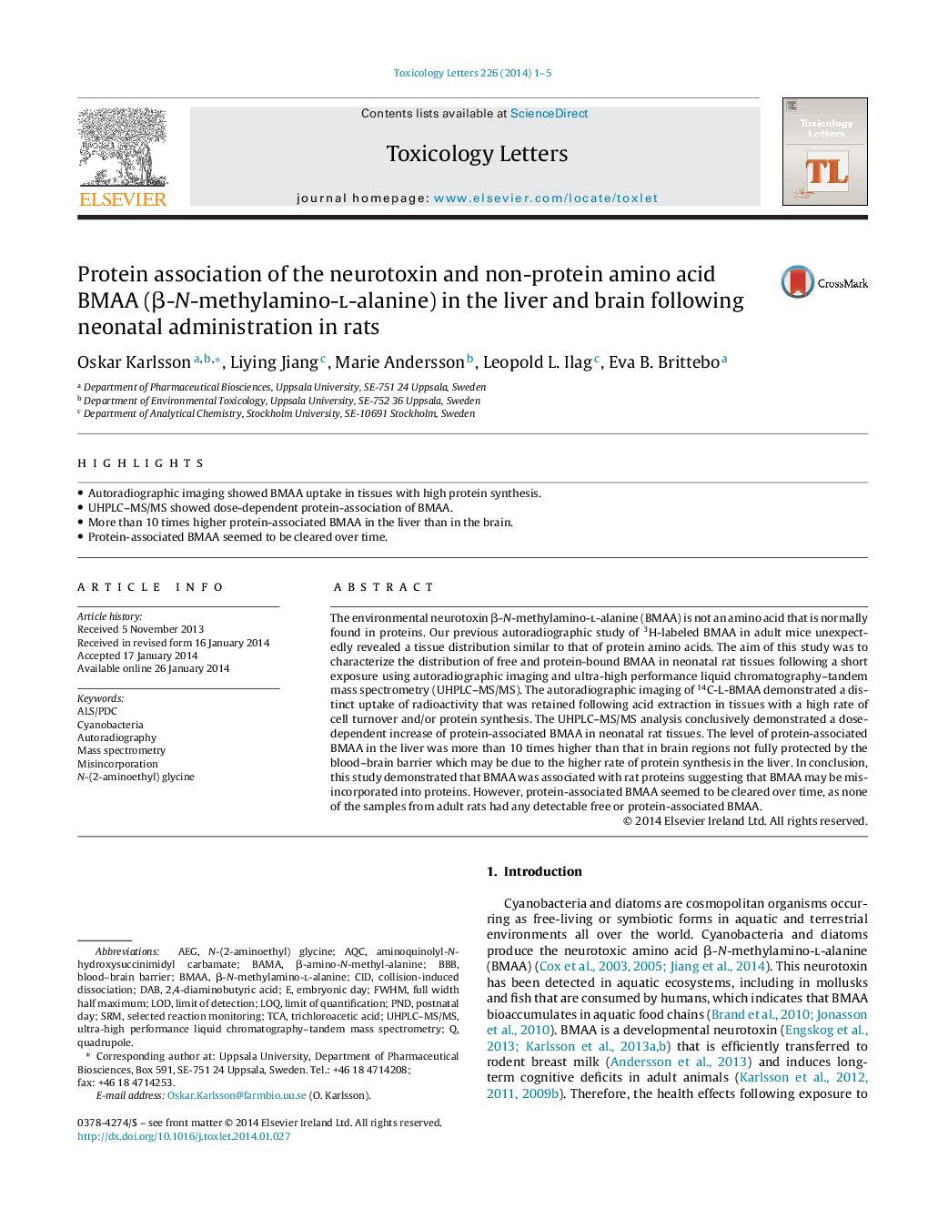 Protein association of the neurotoxin and non-protein amino acid BMAA (β-N-methylamino-l-alanine) in the liver and brain following neonatal administration in rats