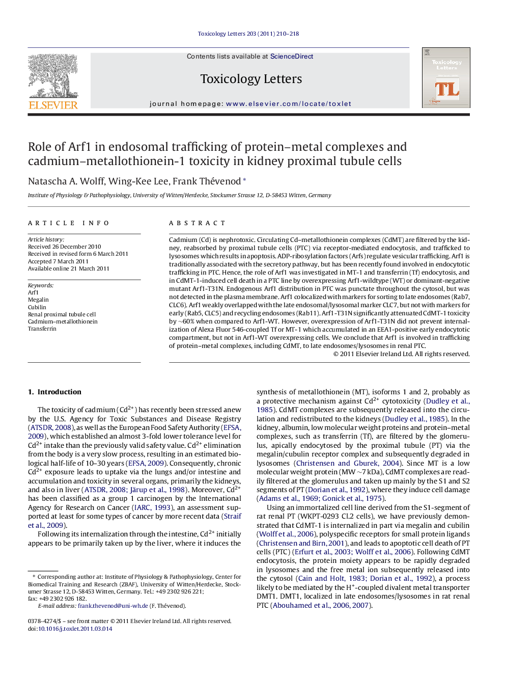 Role of Arf1 in endosomal trafficking of protein–metal complexes and cadmium–metallothionein-1 toxicity in kidney proximal tubule cells