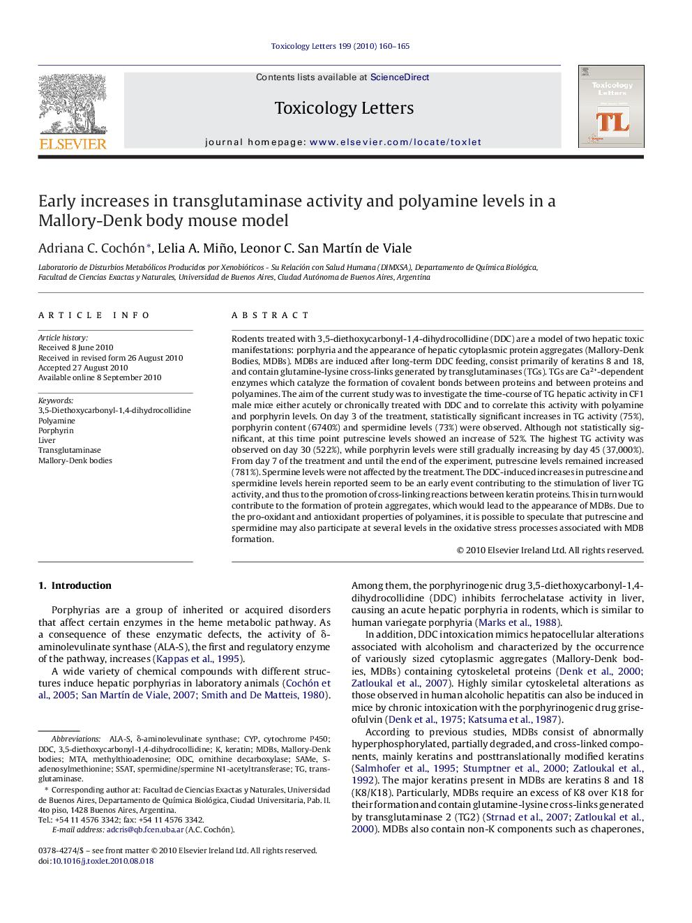 Early increases in transglutaminase activity and polyamine levels in a Mallory-Denk body mouse model