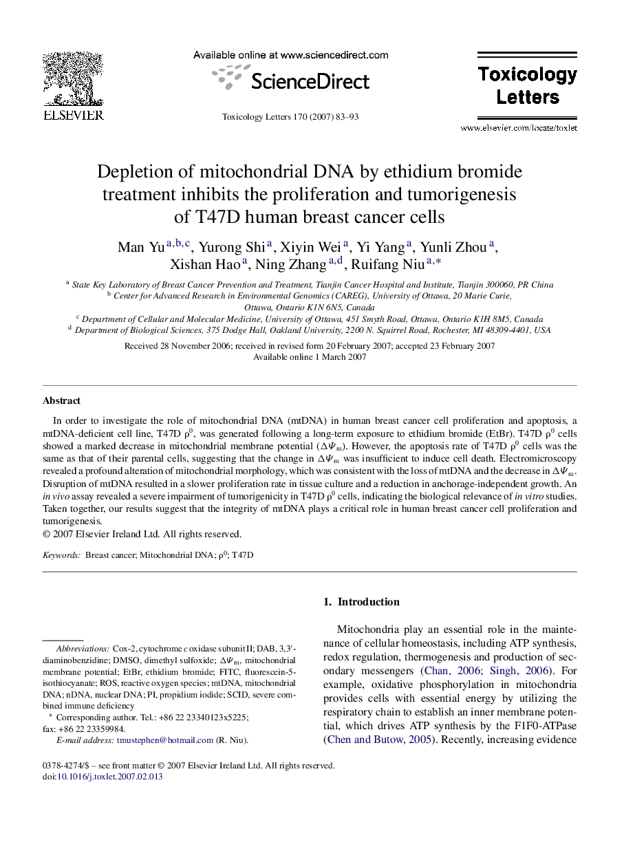 Depletion of mitochondrial DNA by ethidium bromide treatment inhibits the proliferation and tumorigenesis of T47D human breast cancer cells